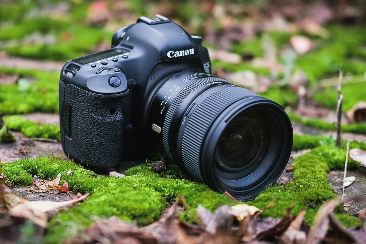 Камера canon 100d. Canon 203 зеркалка. Nikon 800. Canon eos 40d kit. Фотокамера фотограф.