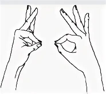 Пальчиковые мудры. Двоеперстие и троеперстие. Мудра пранаяма анджали. Мудра 11 11. Падма мудра.