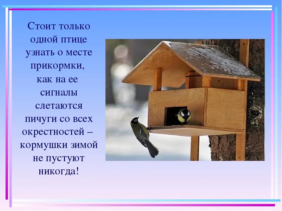 Как помочь животным зимой картинки. Как помочь птицам. Помощь птицам зимой. Как помочь животным в зимнее время. Как помочь животным зимой картинки.