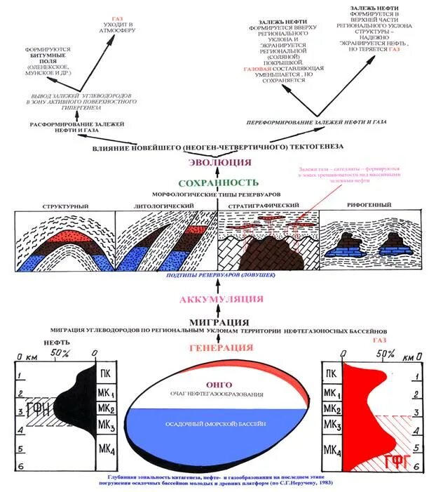 Формирование нефти и газа. Формирование залежей углеводородов стадии. Формирование скоплений нефти и газа. Онтогенез углеводородов. Онтогенез нефти.