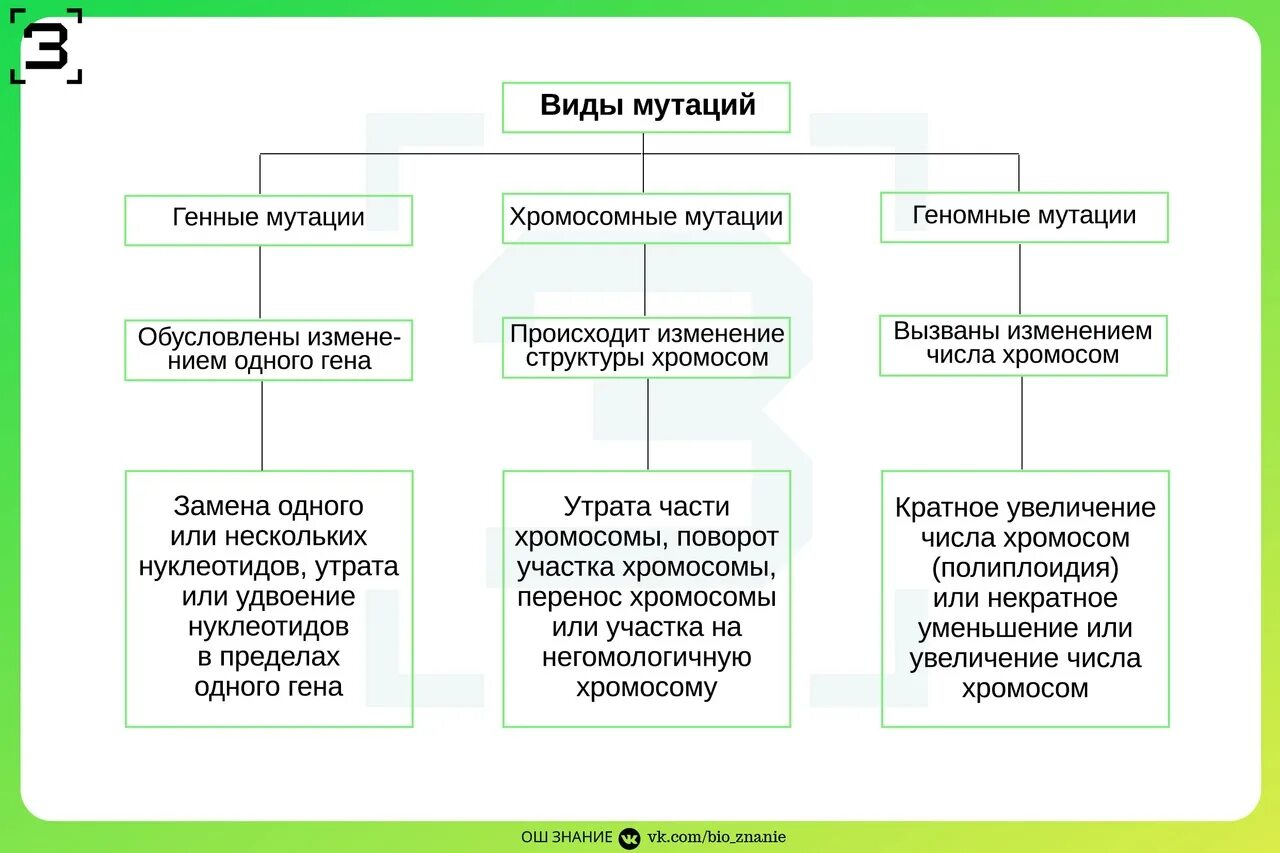 Изменчивость таблица биология. Виды мутационной изменчивости таблица с примерами. Типы мутаций таблица. Типы мутационной изменчивости таблица. Таблица типы мутаций биология 9 класс.