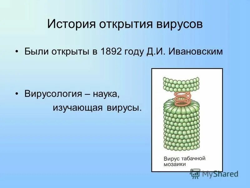вирусы были открыты в 1892 году