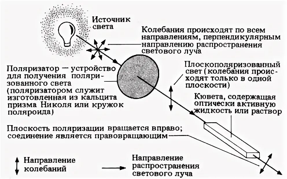 свет колебания. магнитные волны. естественный свет это колебания. плоскость поляризации поляризованного света это. световые волны.