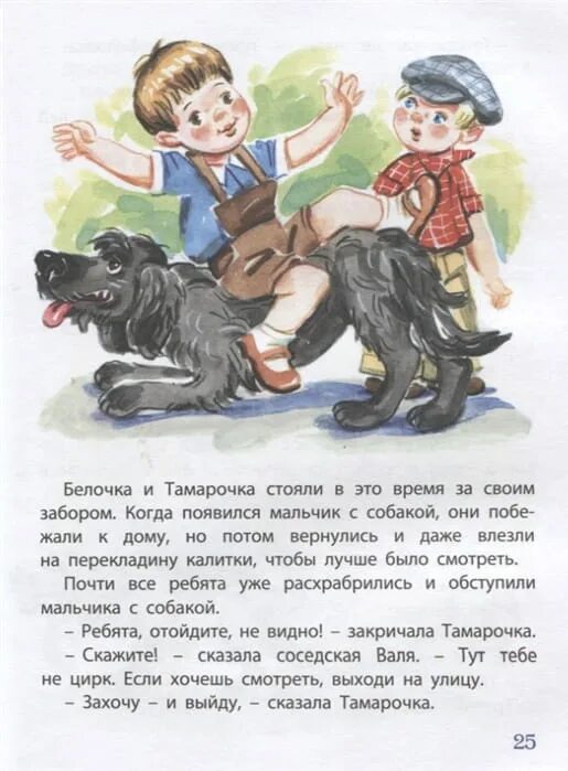 Рассказы про белочку и тамарочку книга. Рассказы о белочке и тамарочке на море. Сказка белочка и тамарочка. Про белочку и тамарочку книга. Сказка белочка и тамарочка.