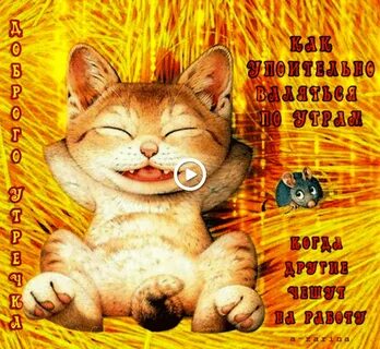 Смешные и добрые картинки гифки