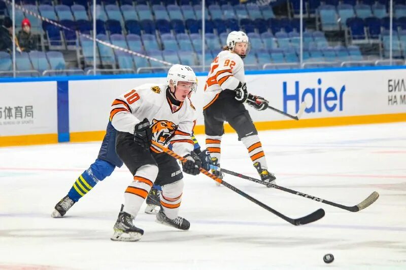 Хк амурские тигры драки во владивостоке. Мхк амурские тигры. Амурские тигры мхк атлант. Сборная украины по хоккею. Мхк амурские тигры.