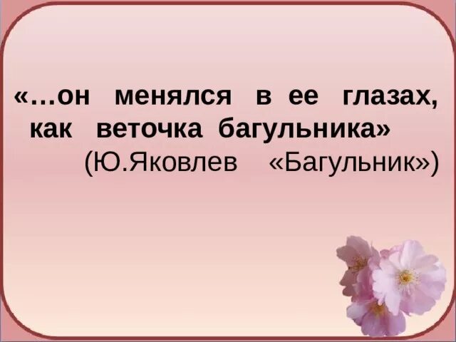 Костя принес в класс пучок тонких изложение. Багульник Яковлев ю.я. Рассказ ю.Яковлева багульник. Презентация ю.Яковлев багульник.