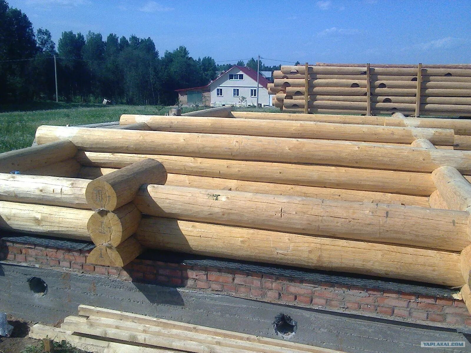 Какой фундамент бани бревна. Фундамент для сруба. фундамент под сруб из бревна. цоколь для сруба бани. цоколь бани из бревна.