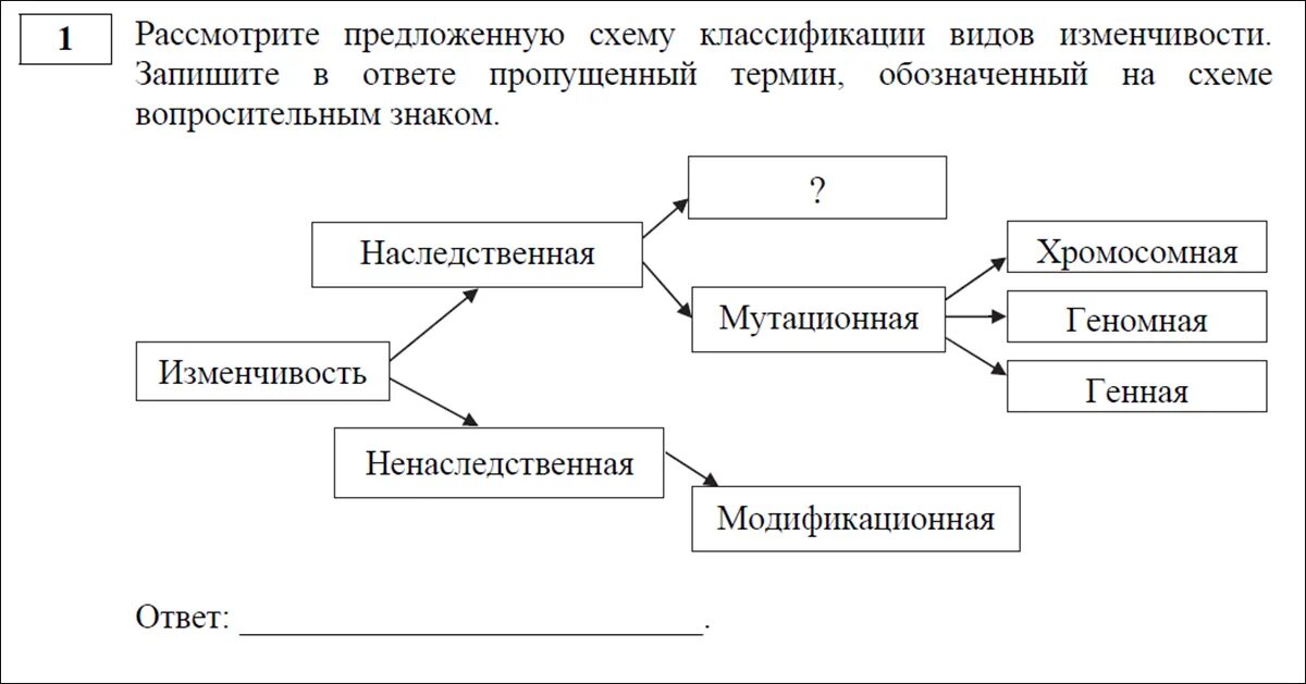 Схема классификации видов изменчивости. Классификация форм изменчивости схема. Рассмотрите предложенную схему классификации видов изменчивости. Рассмотрите предложенную схему типа.