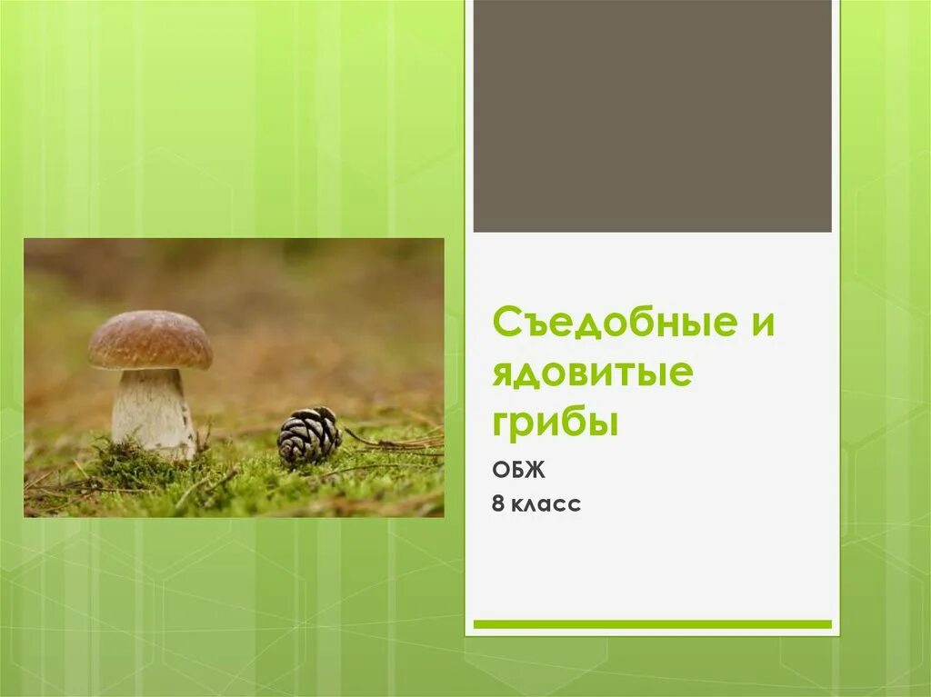 Грибы обж 8 класс. Съедобные и ядовитые грибы. Съедобные и ядовитые грибы презентация. Ядовитые грибы ОБЖ. ОБЖ грибы съедобные и ядовитые.