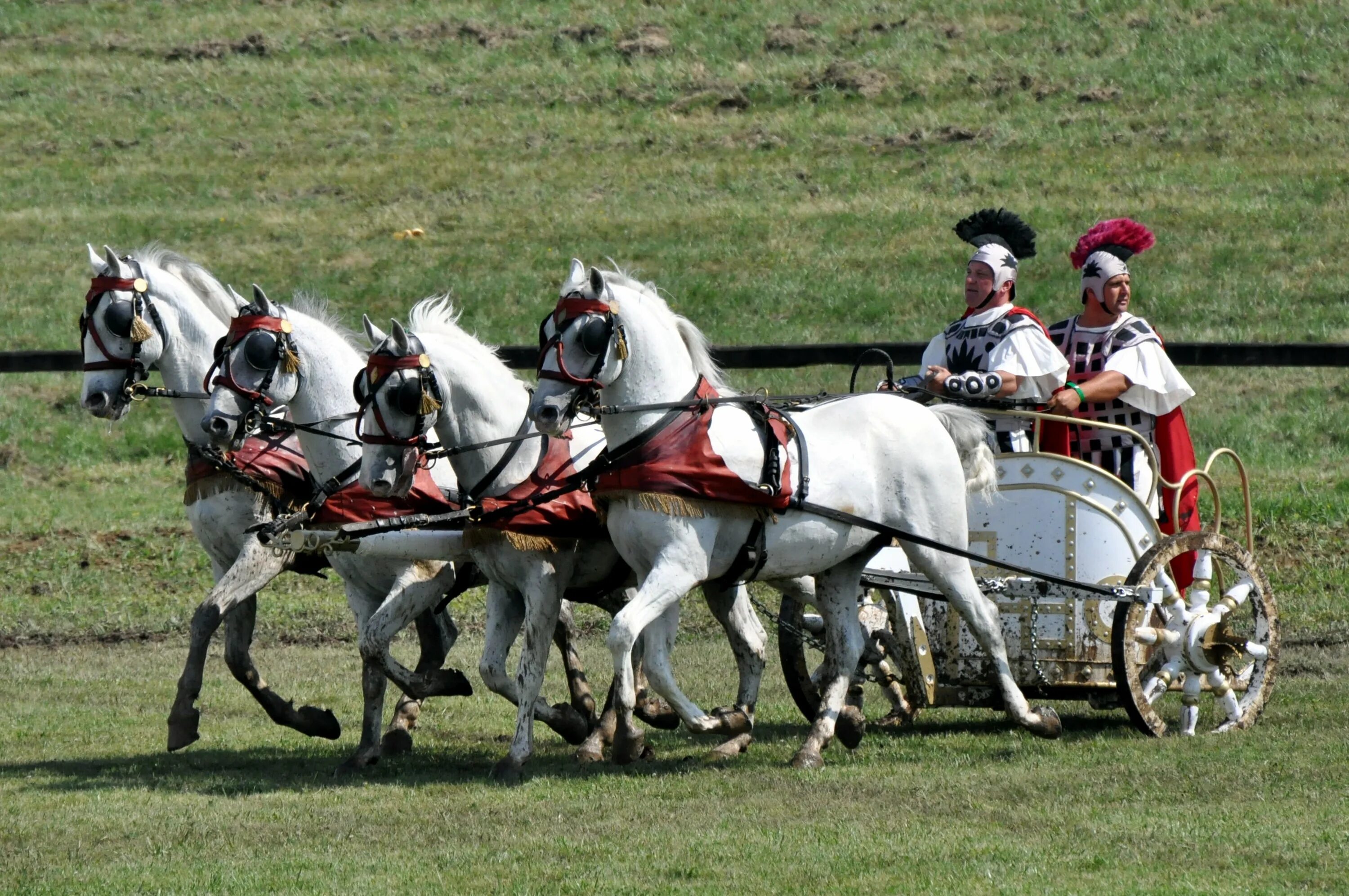 Driving horse