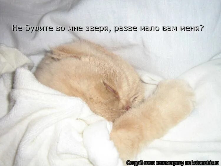 стихотворение разбуди меня рано. есенин разбуди меня завтра рано текст. разбуди меня завтра рано есенин. разбуди меня завтра рано о моя терпеливая мать. разбуди меня утром пораньше.