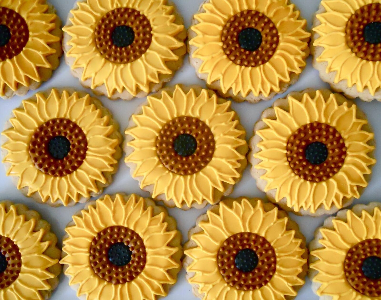 Pin on Kathy Custers Cuties Sunflower cookies, Creative cookies, Cookie tutorial