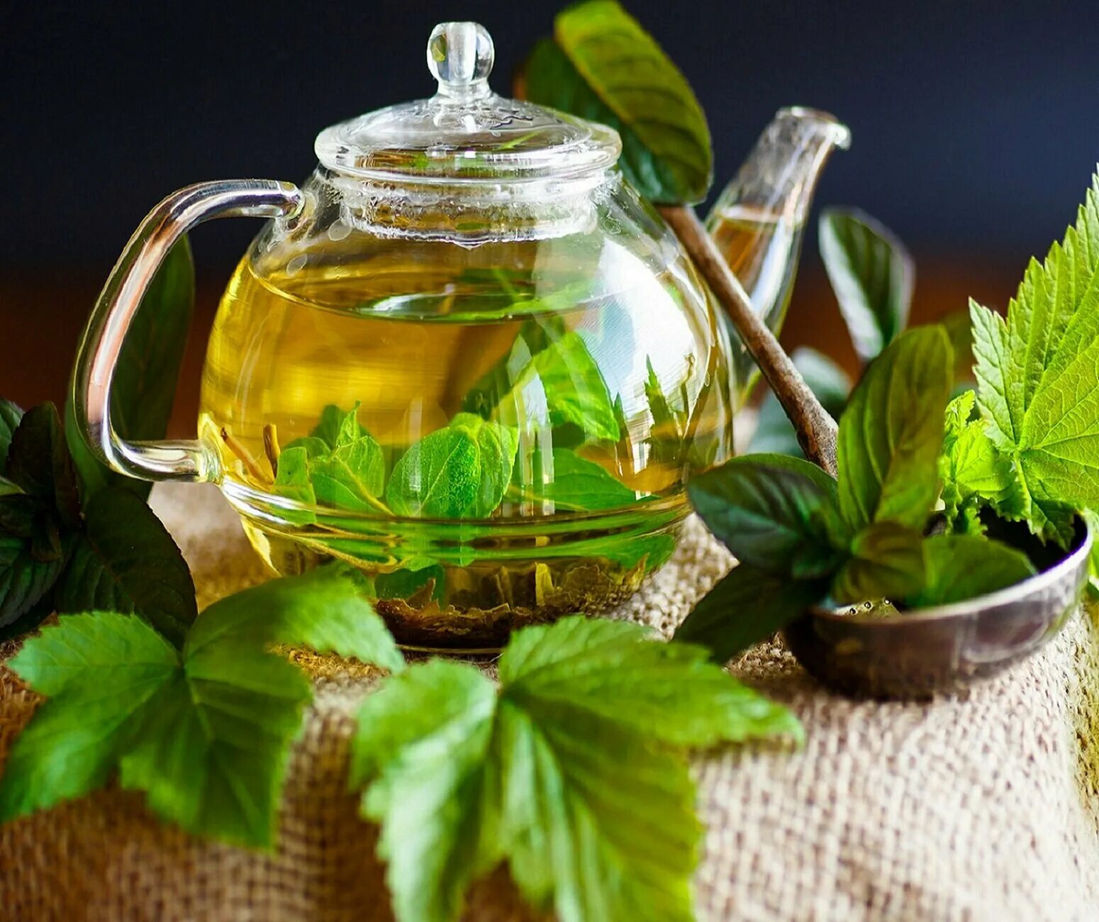 Травяной чай черный. Чай смородиновый лист. Чай с листьями смородины. Чай из смородиновых листьев. Чай с мятой.