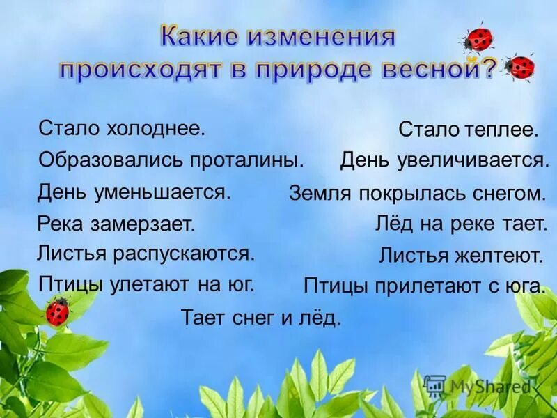 весений явления в природе. изменения в живой природе весной. изменения в неживой природе весной. изменения в природе весной. какие изменения природы весной.