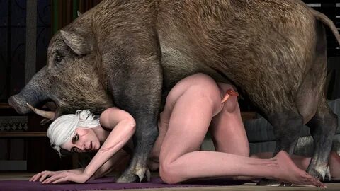 Boar porn.