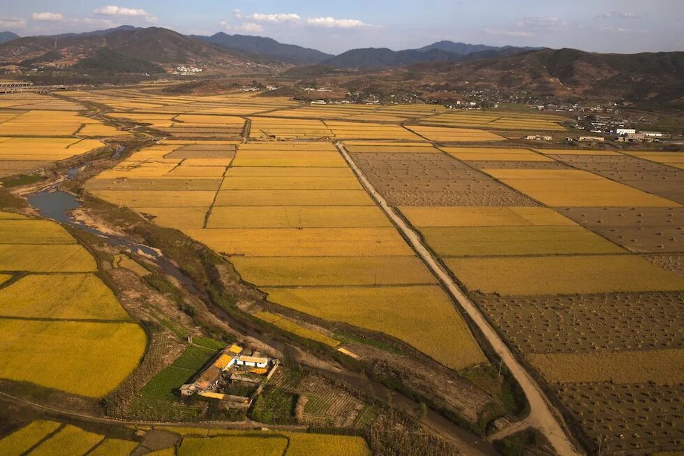 Земельные ресурсы венесуэлы. Пахотные земли Южной Кореи. Сельскохозяйственные земли. Сельскохозяйственные угодья. Земельные угодья.