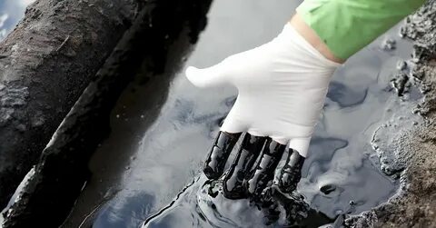 Нефть на участке