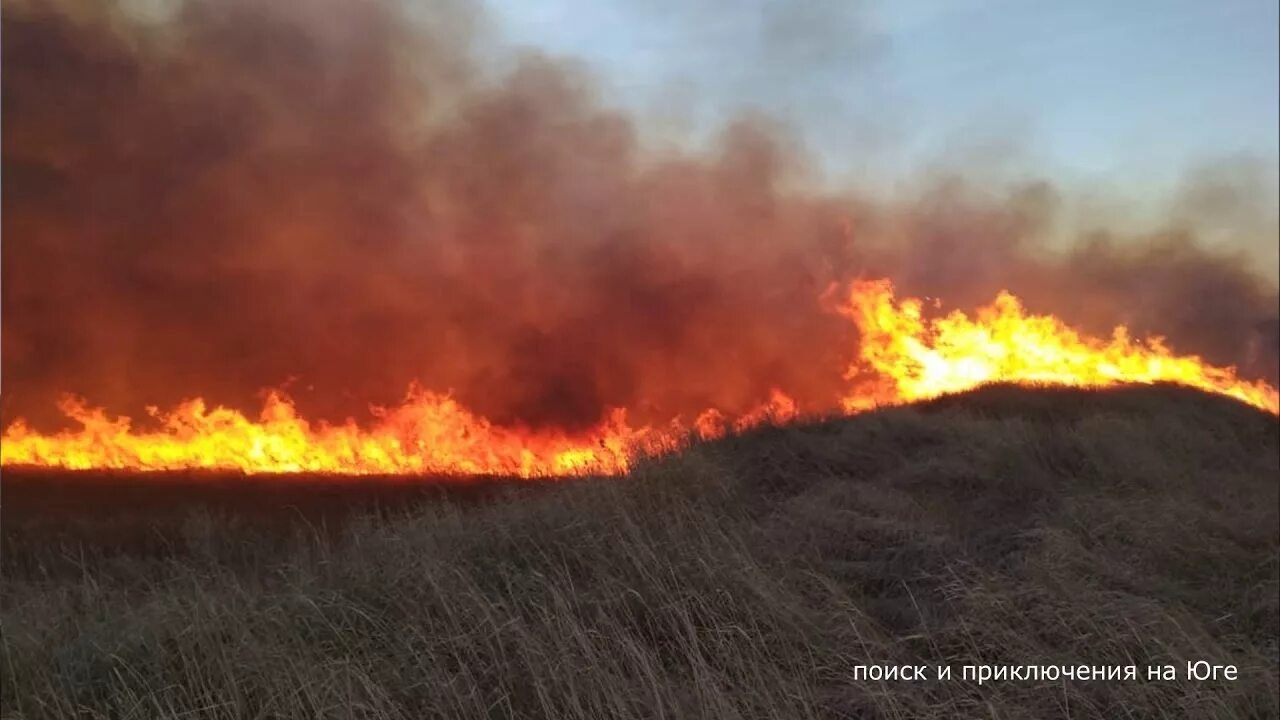 Отсвет пожара. Огонь бревно. Лесные пожары в австралии 2020. Пожар картинки. Forest fire/bushfire.