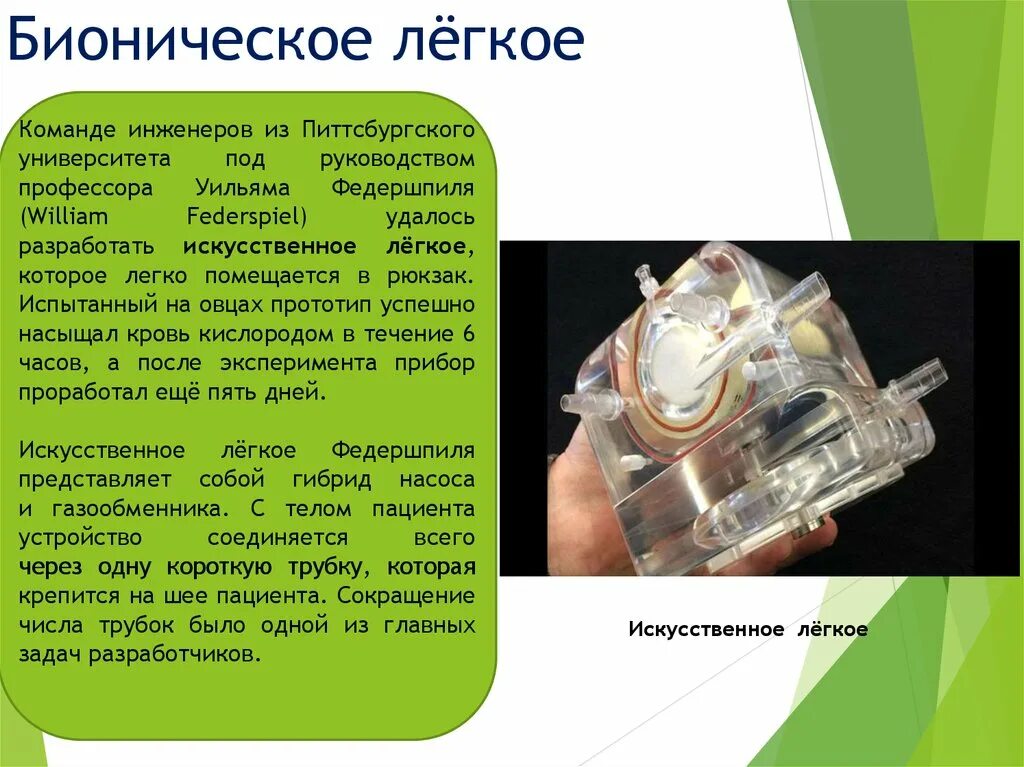 Бионика. Бионические изобретения. Примеры бионики в жизни человека. Презентация на тему бионика. Перспективы развития бионики.