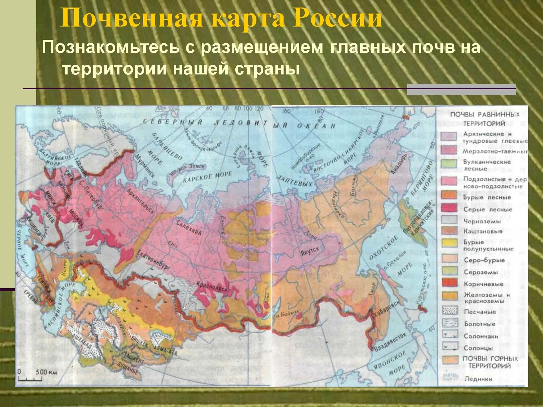 В каком районе наиболее плодородные почвы. Карта плодородия почв России. Типы почв на карте. Типы почв России на карте 8 класс география. Карта плодородности почв России.