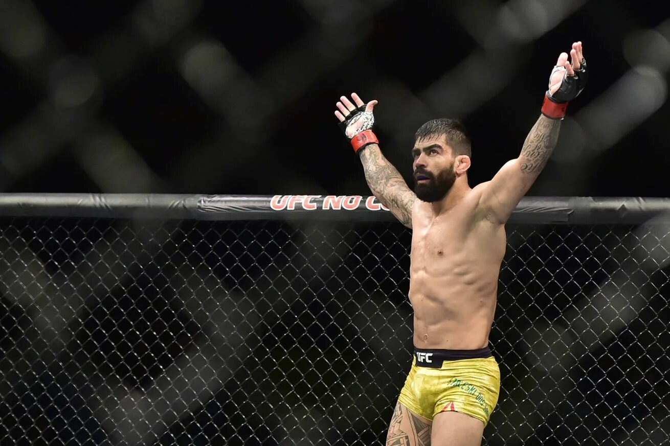 Элизеу залески дос сантос. Сен дени ufc. Бенуа сен-дени боец. Мейсон джонс. Бенуа сен-дени боец.