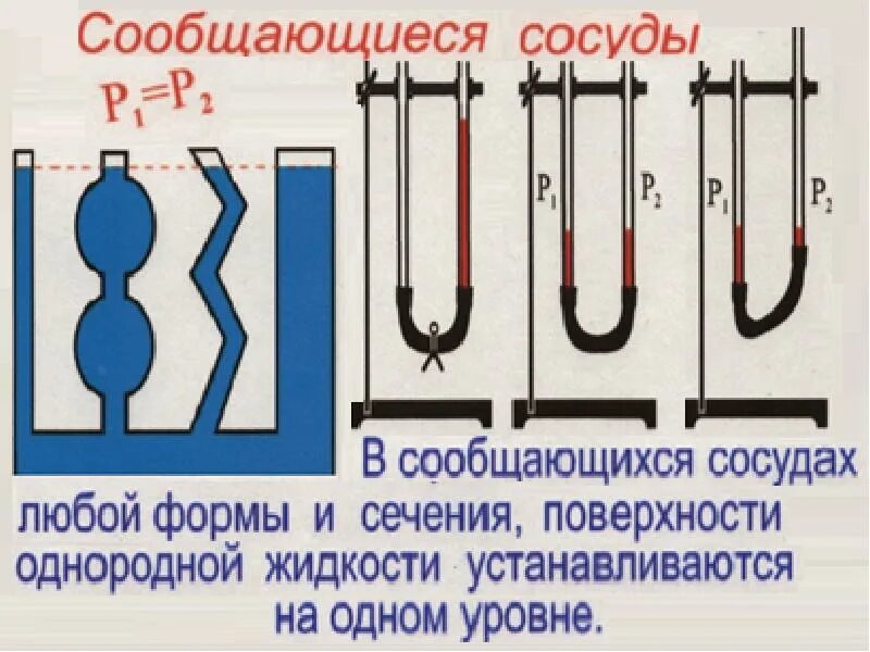Сечение сообщающихся сосудов. В сообщающихся сосуде любой формы и сечения. в сообщающихся сосудах любой формы и сечения поверхности. в сообщающихся сосудах любой формы и сечения поверхности однородной. в сообщающихся сосудах любой формы поверхности однородной жидкости.