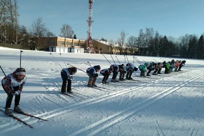 Секции лыжного спорта. Лыжная секция. Лыжи секция. Секция горные лыжи. Лыжная секция Пересвет.