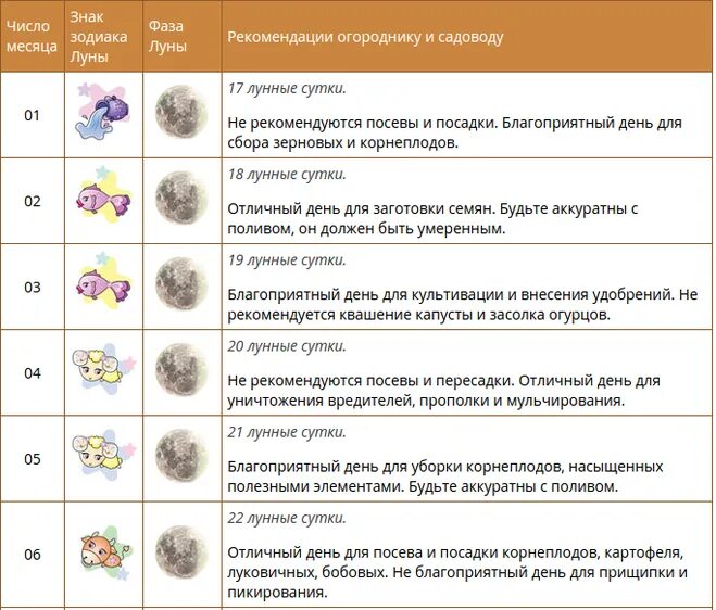 Удачные дни для засолки капусты. Благоприятные дни для соления капусты. Лунный календарь для квашения капусты. Благоприятные дни для уборки капусты в октябре.