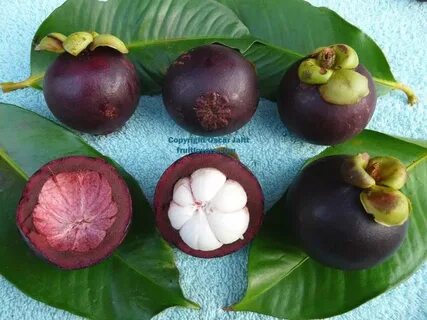 Rare fruit