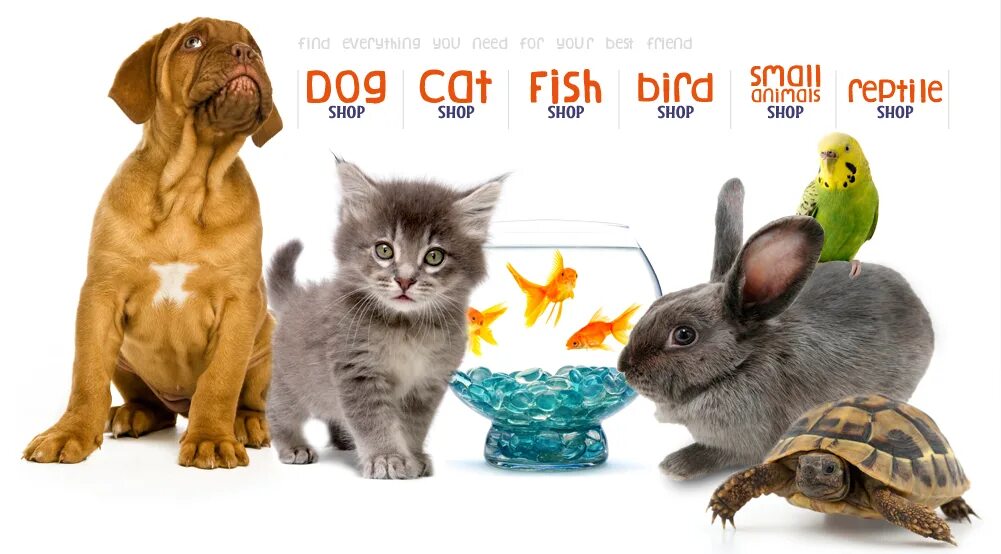Do you have pet animals