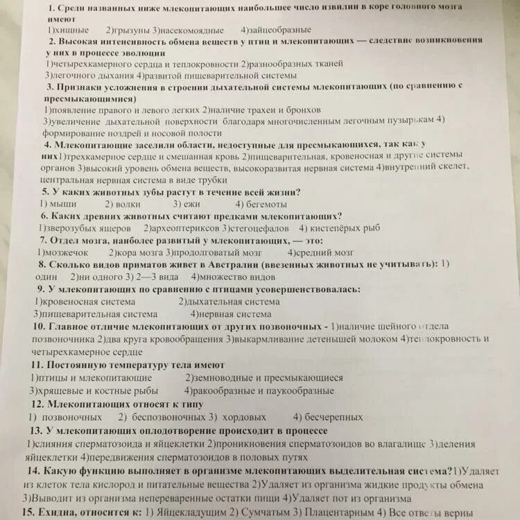 Поведение млекопитающих тест. Тест по теме млекопитающие 1 вариант. тест по теме млекопитающие. среди названных ниже млекопитающих наибольшее число извилин в коре.