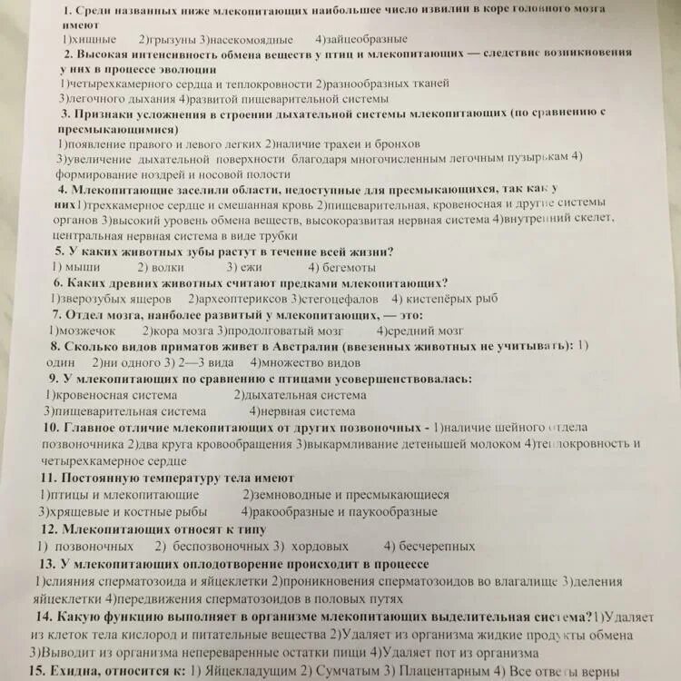 Тест по теме млекопитающие 8 класс. Зачет по теме млекопитающие. Тест по теме млекопитающие вариант 2. Тест по теме млекопитающие. Среди названных ниже млекопитающих наибольшее число извилин в коре.