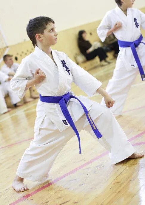 Каратэ зеленоград. Kyokushin chicago. Каратэ wkf кумитэ для детей. Каратэ киокушинкай дети. Карате истра.
