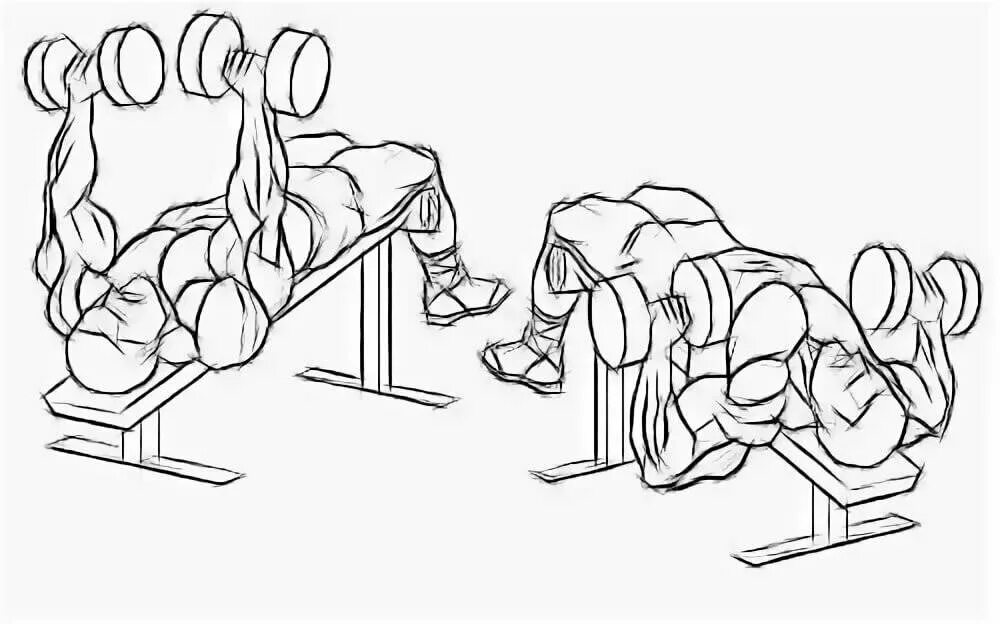 Жим гантелей на наклонной скамье техника. Жим гантелей лежа головой вверх. Жим гантелей лежа с наклоном вверх. Жим штанги на скамье с наклоном вверх. Жим штанги гантелей лежа