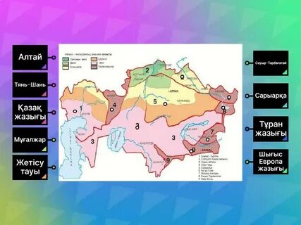 Кеудедегі әйел әр тесікке ұрылады