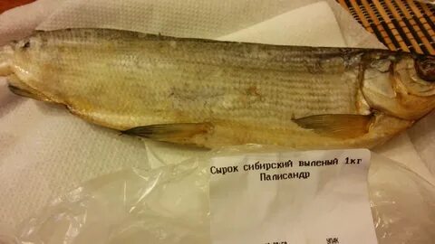 Пелядь описторхоз