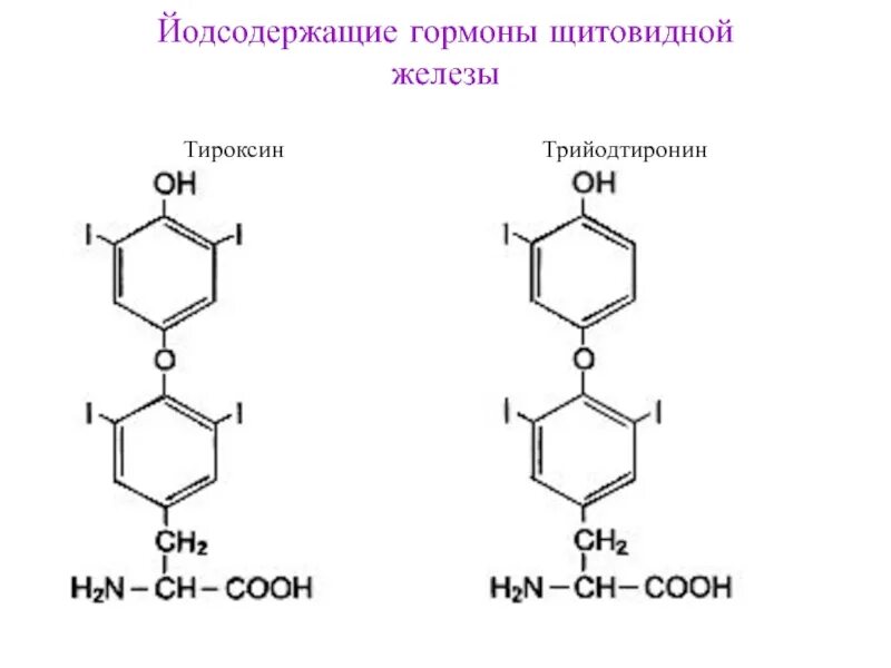 Синтез тироксина в формулах. Гормоны щитовидной железы биохимия. Тироксин химическое строение. Т3 тироксин.