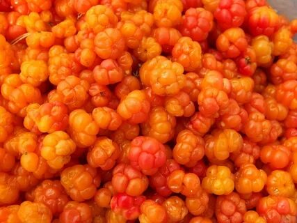Морошка 1 кг