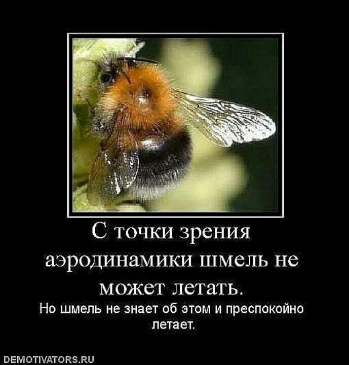Жизнь иногда выпускает жало натуралы