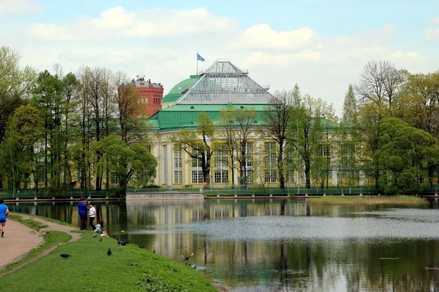 Таврический сад в петербурге фото Парки в Санкт-Петербурге Куда сходить в Питере  Дзен