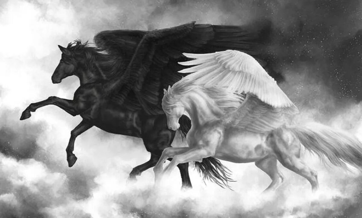 Отец крылатого коня пегаса. Черные Единороги и пегасы. Черная лошадь с крыльями. Лошади фэнтези. Черный конь с крыльями.