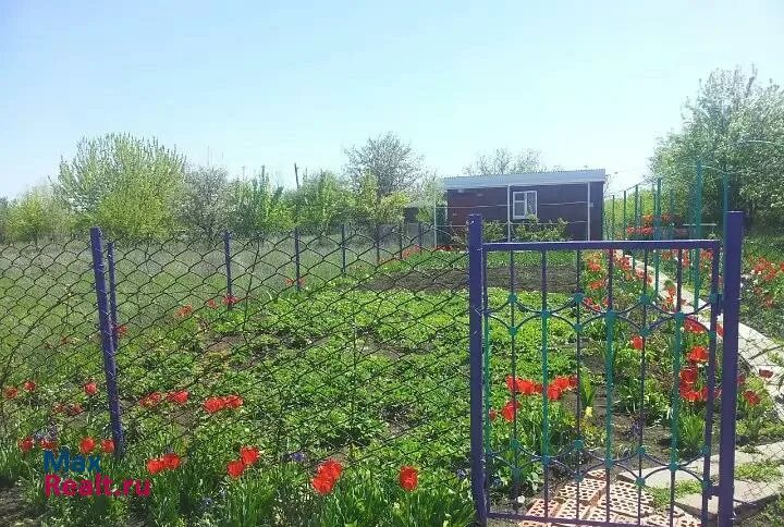 Снт зори кубани старые фото. Днт зори кубани адыгея. Невинномысск дачная 22. Дача невинномысск. Орхидея 160, невинномысск, снт кубань фото.
