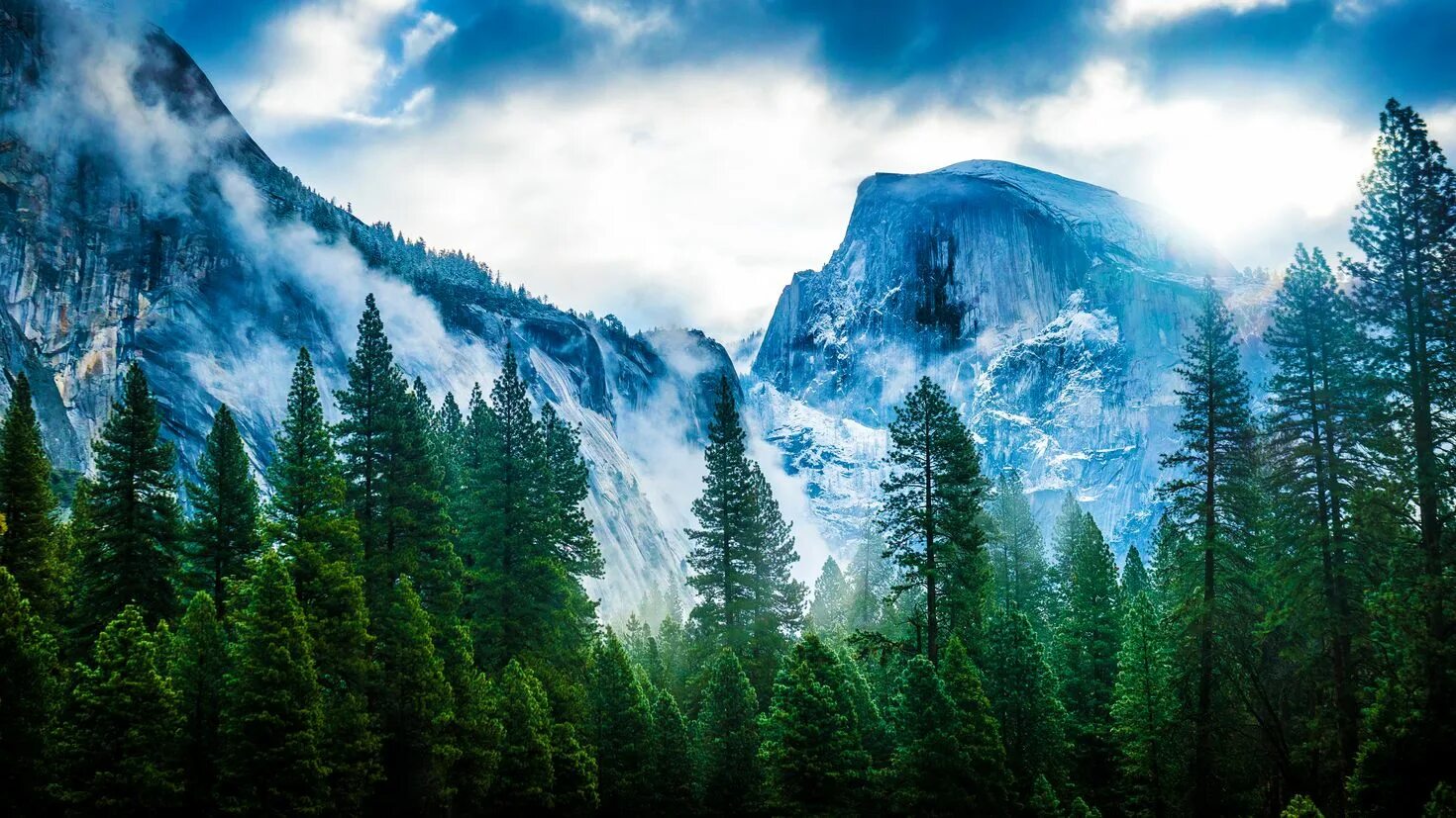 Горы Сьерра Невада Макос. Йосемити хвойный лес. Мак ОС Йосемити. Йосемитский национальный парк. Лес горы слились все