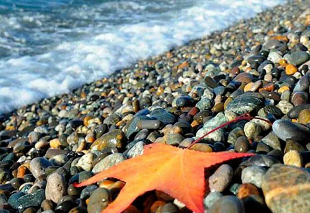В конце октября когда последние курортные. Осенний пляж. Сочи море осень.