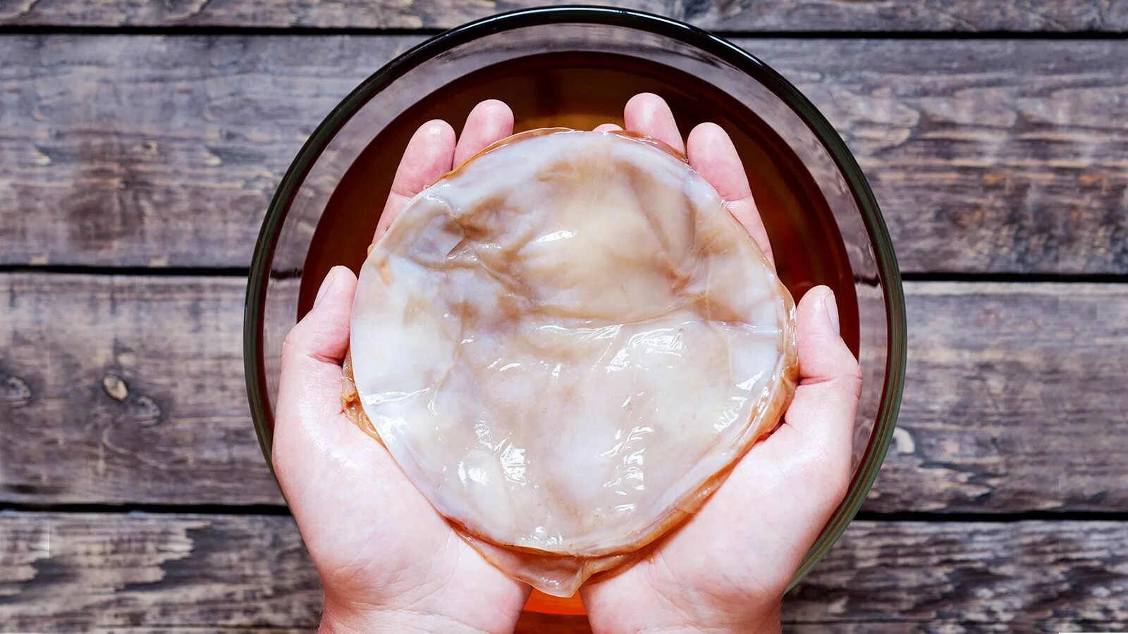 Откуда берется чайный гриб. Kombucha чайный гриб. комбуча гриб. живой чайный гриб комбуча. чайный гриб или комбуча.