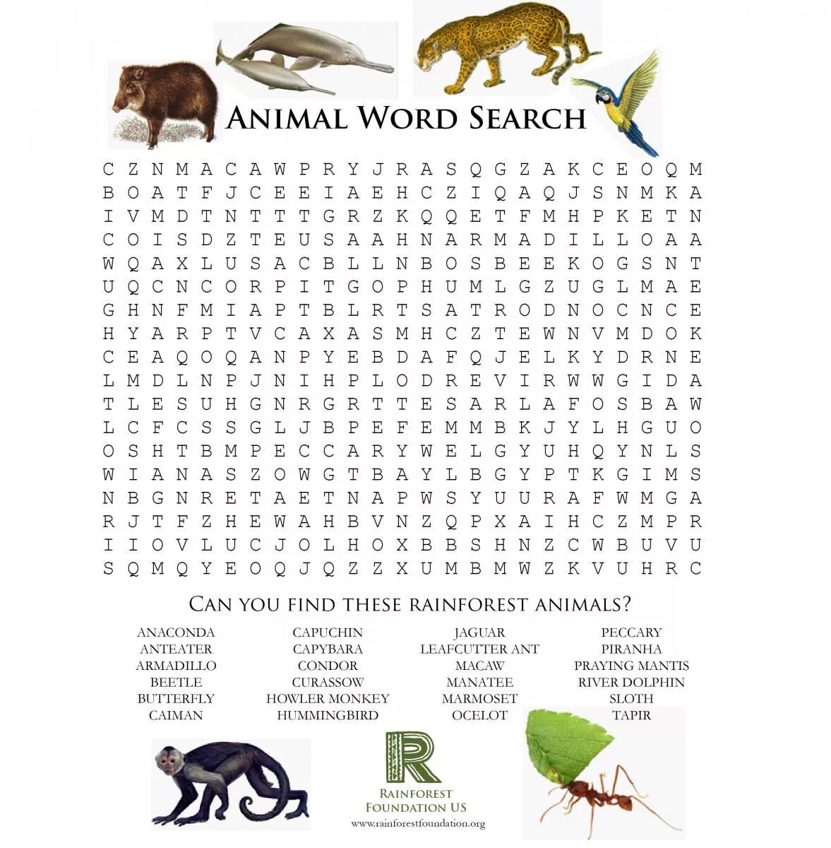 Animals wordsearch