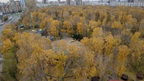 Березовая 19 новосибирск