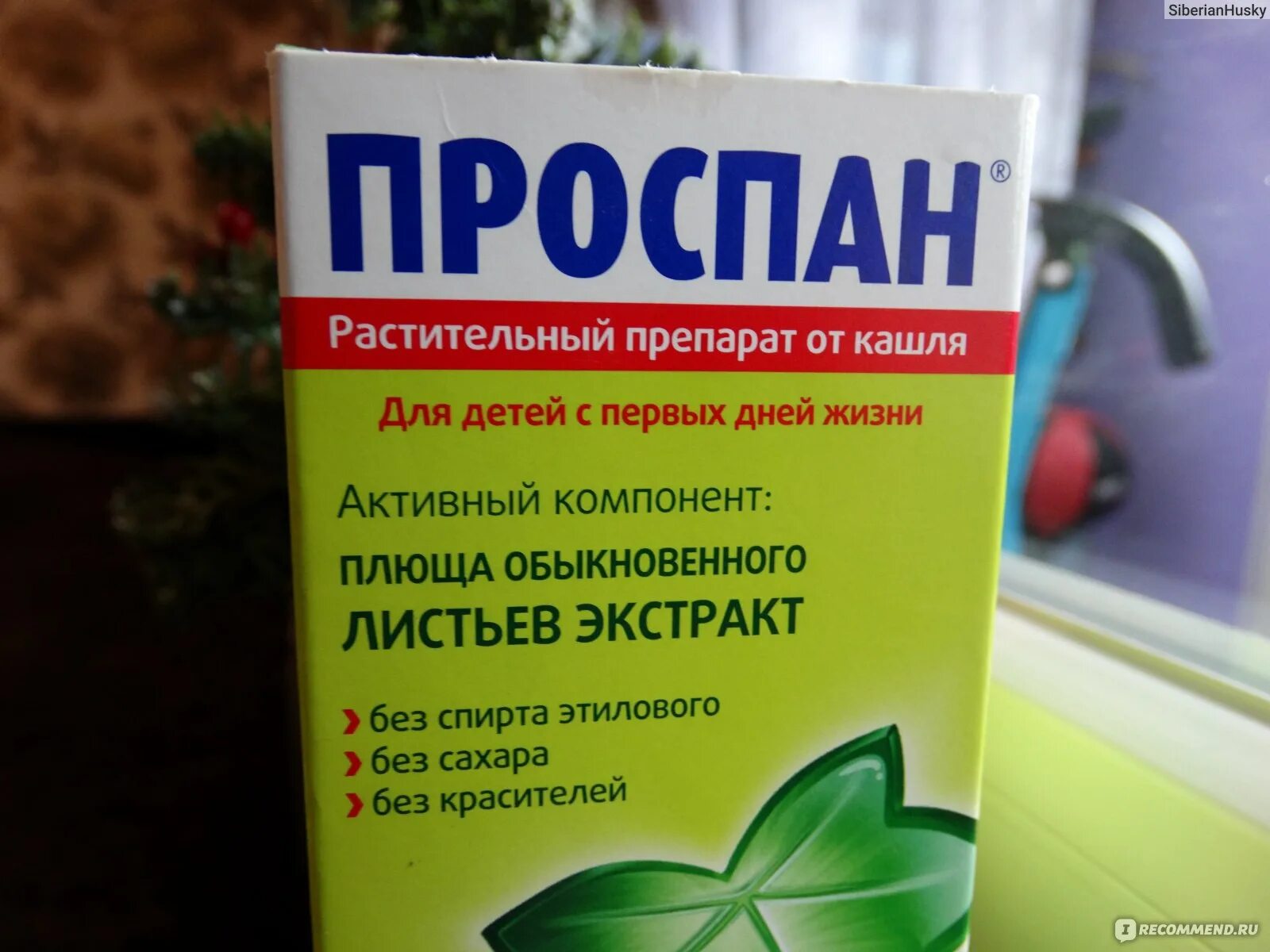 Проспан аналоги для детей. Проспан аналог. лекарство от кашля проспан. проспан аналогичные препараты.