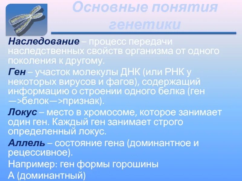 Передача наследственных. Передача генетической информации от одного поколения другому это. процесс передачи наследственных задатков. процесс передачи наследственных задатков от поколения к поколению. предмет и основные понятия генетики.